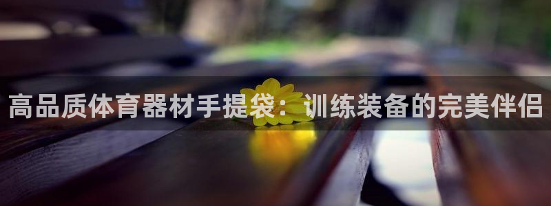 极悦平台官方网址是什么：高品质体育器材手提袋：训练装