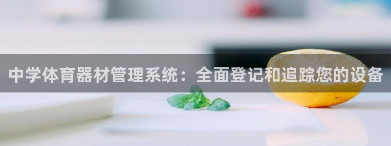 极悦娱乐现在叫什么：中学体育器材管理系统：全面登记和