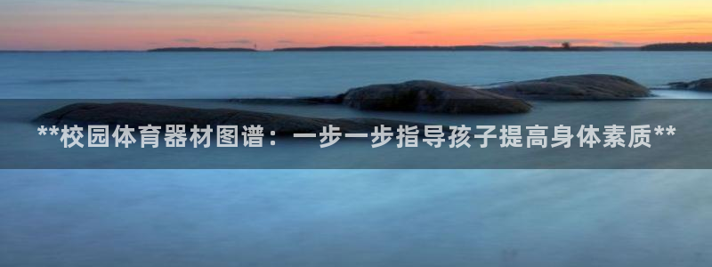 极悦平台注册申请流程详解视频：**校园体育器材图谱：