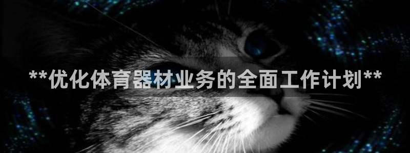 极悦娱乐创始人背景故事是什么：**优化体育器材业务的