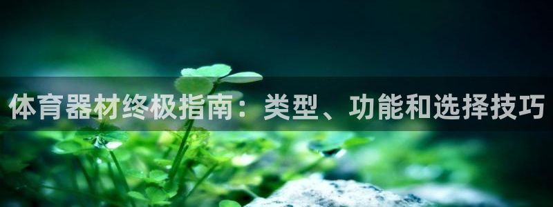 极悦娱乐公司最新招聘信息官网：体育器材终极指南：类型