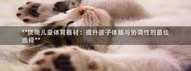极悦娱乐官网app下载苹果版：**陇南儿童体育器材：