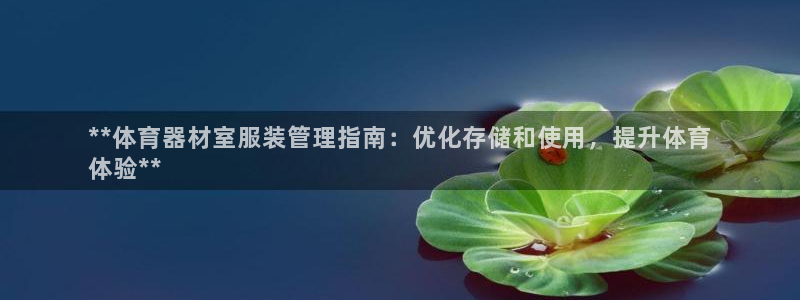 极悦平台反7O777：**体育器材室服装管理指南：优