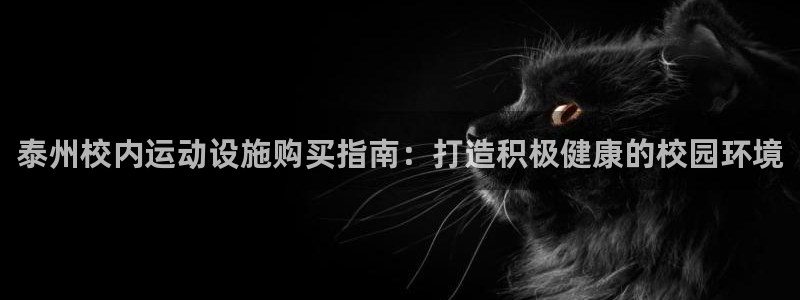 极悦娱乐股东有哪些：泰州校内运动设施购买指南：打造积