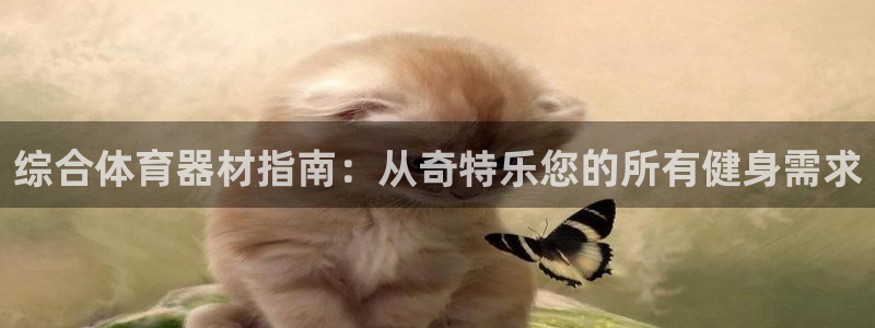 极悦平台是干什么的软件：综合体育器材指南：从奇特乐您