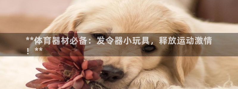 极悦娱乐代理怎么样可靠吗：**体育器材必备：发令器小