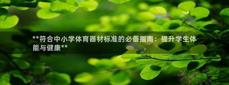 极悦娱乐游戏安全吗：**符合中小学体育器材标准的必备