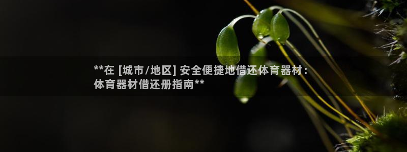 极悦平台代理电话：**在 [城市/地区] 安全便捷地