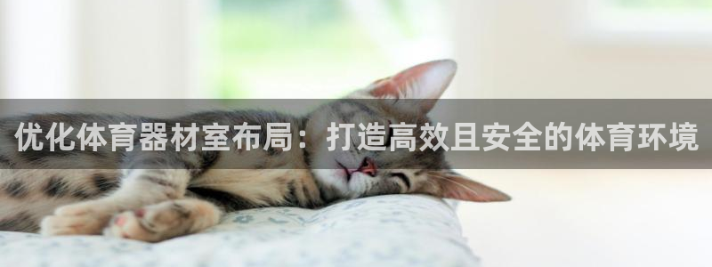 极悦平台平台登录入口：优化体育器材室布局：打造高效且