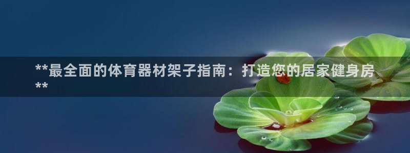极悦平台官方网站首页：**最全面的体育器材架子指南：