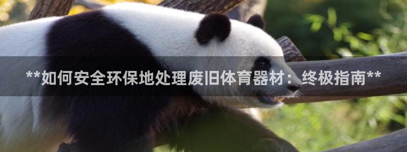极悦官网下载最新版本更新内容：**如何安全环保地处理