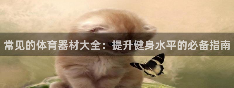极悦娱乐代理怎么样知乎：常见的体育器材大全：提升健身