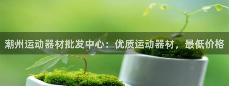 极悦平台是干嘛的啊：潮州运动器材批发中心：优质运动器