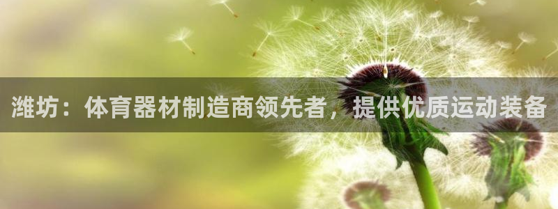 极悦平台注册用户名验证失败：潍坊：体育器材制造商领先