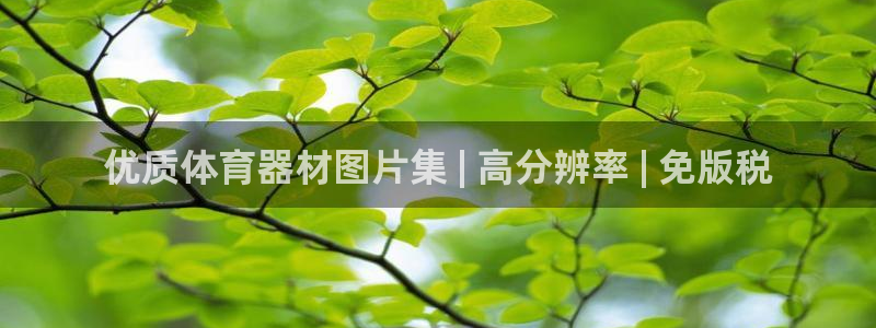 极悦平台官网登录网址查询：优质体育器材图片集 | 高