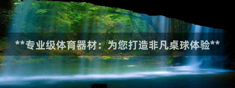 极悦官网旗舰店地址：**专业级体育器材：为您打造非凡