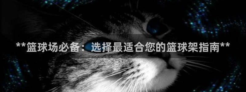 极悦平台注册官方网站下载安装手机版：**篮球场必备：