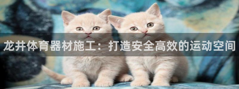 极悦平台很7O777：龙井体育器材施工：打造安全高效