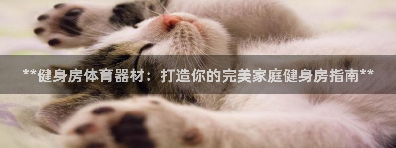 极悦娱乐公司最新招聘信息电话：**健身房体育器材：打