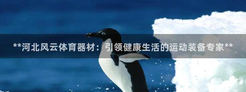 极悦平台官网登录入口网址：**河北风云体育器材：引领