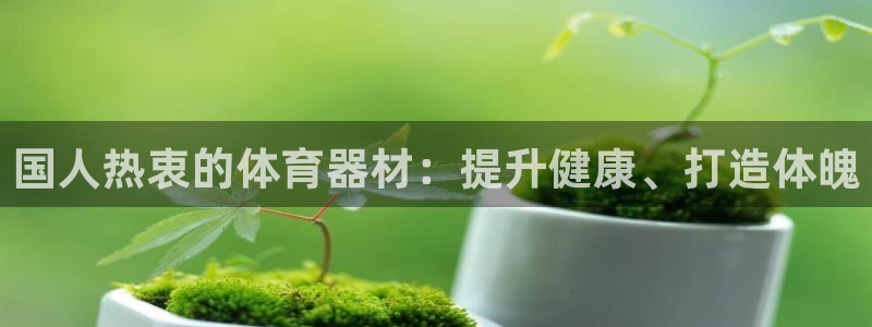 极悦娱乐的背景和历史背景是什么：国人热衷的体育器材：