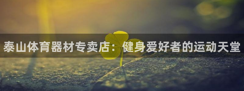 极悦生活家是什么平台的产品：泰山体育器材专卖店：健身