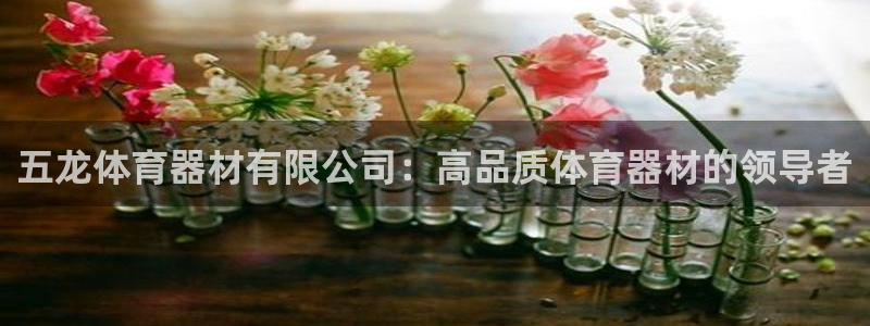 极悦娱乐代理怎么样知乎：五龙体育器材有限公司：高品质