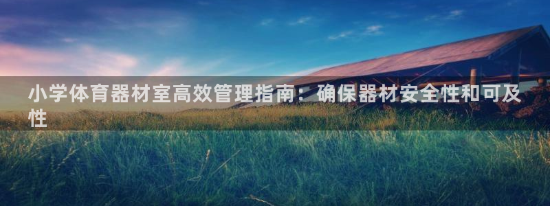 极悦娱乐登录拒绝访问怎么办：小学体育器材室高效管理指