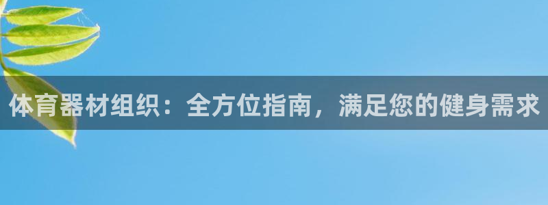 极悦平台代理怎么做：体育器材组织：全方位指南，满足您