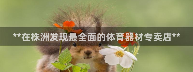 极悦平台注册登录：**在株洲发现最全面的体育器材专卖