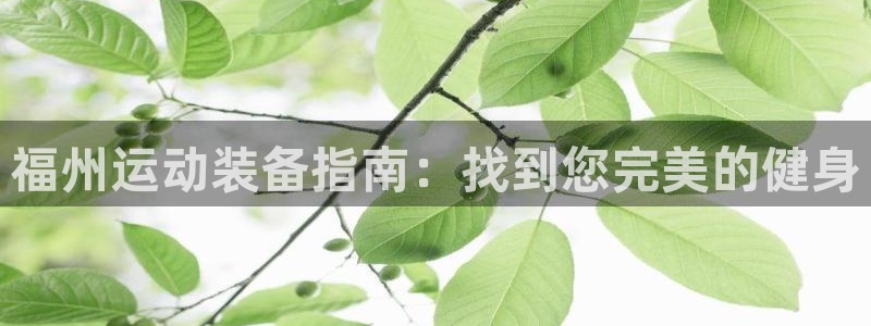 极悦平台代理电话：福州运动装备指南：找到您完美的健身