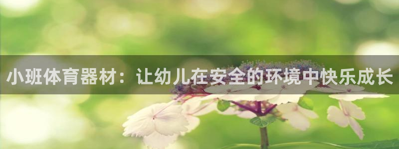 极悦平台官方网站：小班体育器材：让幼儿在安全的环境中