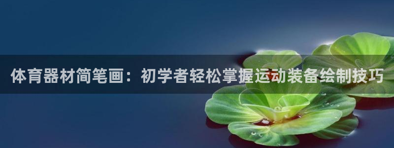 极悦平台官网登录不了了：体育器材简笔画：初学者轻松掌