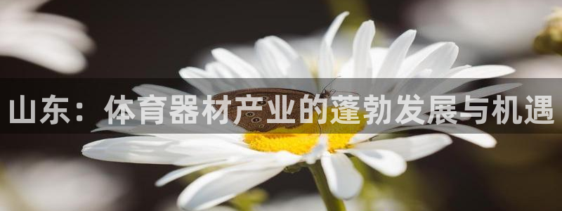 极悦娱乐负责人是谁：山东：体育器材产业的蓬勃发展与机