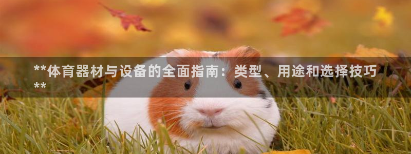 极悦娱乐官网下载：**体育器材与设备的全面指南：类型