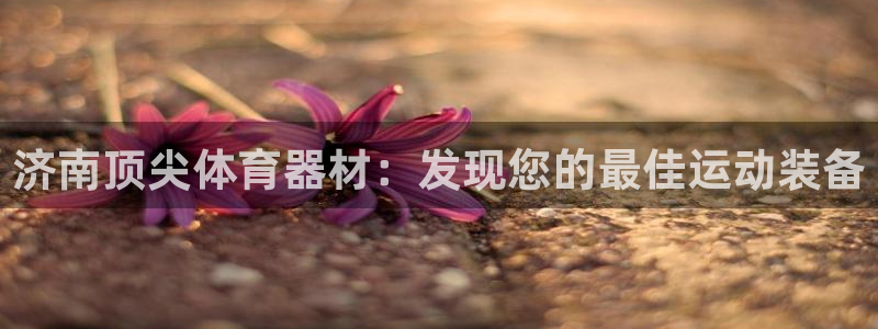 苏州极悦信息科技有限公司：济南顶尖体育器材：发现您的