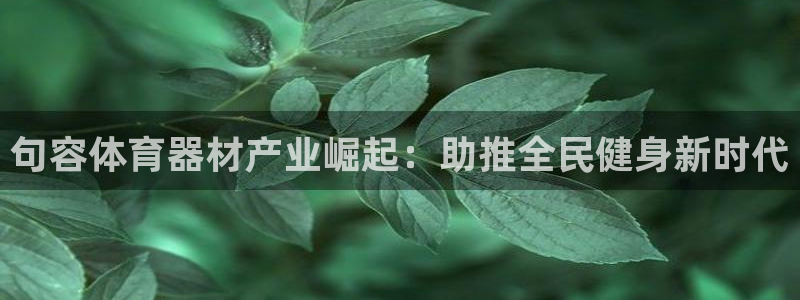 极悦平台登录7.0.2.4手机版下载安装：句容体育器材产业崛