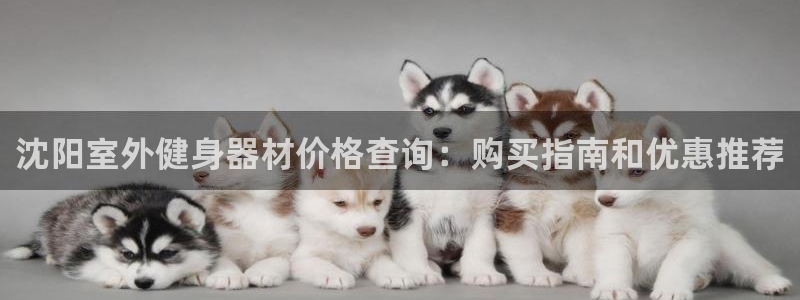 极悦平台的注册流程及注意事项是什么：沈阳室外健身器材