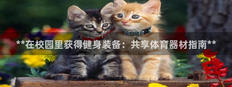 极悦娱乐官网下载安装：**在校园里获得健身装备：共享