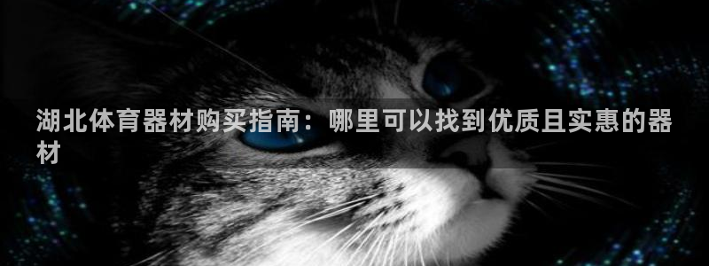 极悦平台有风险吗现在：湖北体育器材购买指南：哪里可以