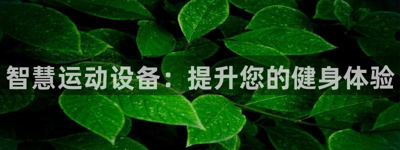 极悦平台官网下载中心：智慧运动设备：提升您的健身体验