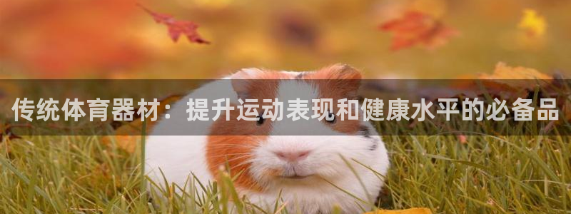 极悦娱乐代理怎么样可靠吗：传统体育器材：提升运动表现