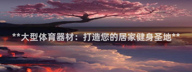 极悦平台有风险吗现在：**大型体育器材：打造您的居家
