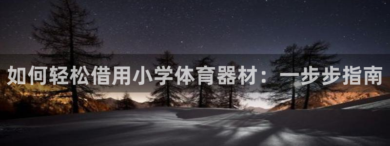 极悦平台注册申请流程详解图片：如何轻松借用小学体育器