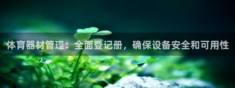 极悦平台注册流程视频：体育器材管理：全面登记册，确保