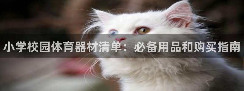 极悦平台注册官网：小学校园体育器材清单：必备用品和购