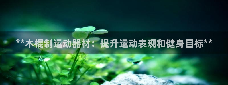 极悦官网下载最新版本更新内容视频：**木棍制运动器材