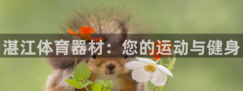 极悦平台注册官方网站下载安装苹果：湛江体育器材：您的