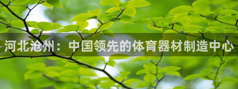 极悦平台官方网站是什么软件：河北沧州：中国领先的体育