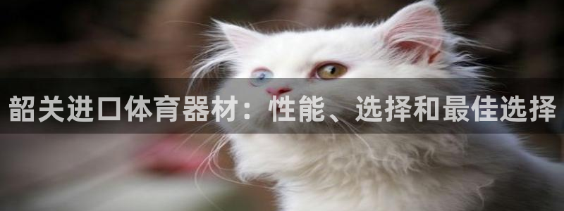 极悦平台官方网站入口网址：韶关进口体育器材：性能、选择和最佳
